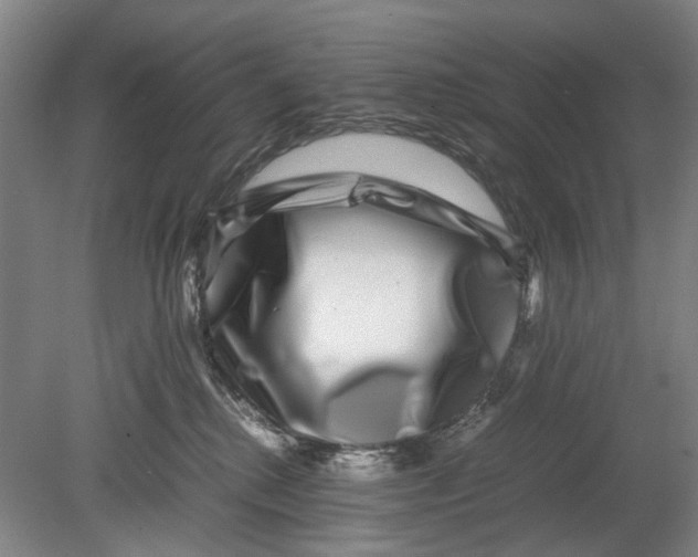 X0000080750280200701051218