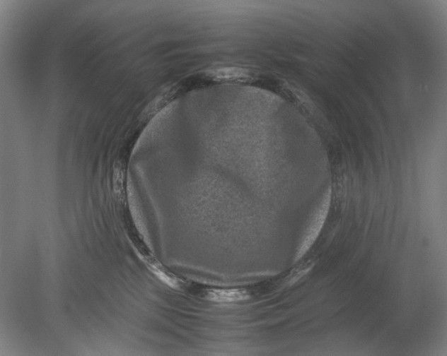 X0000080750281200701051218