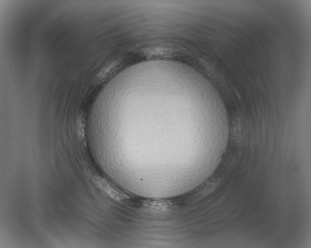 X0000080750282200701051218