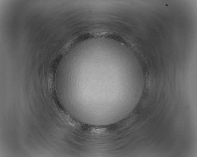 X0000080750283200701051218