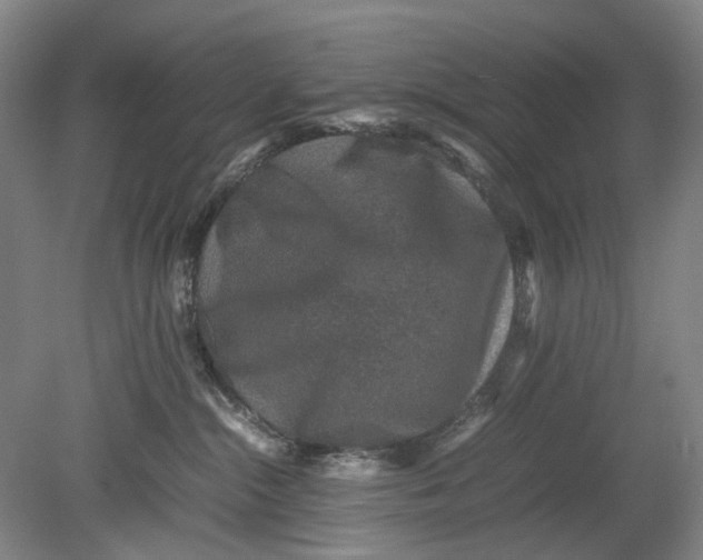 X0000080750284200701051218