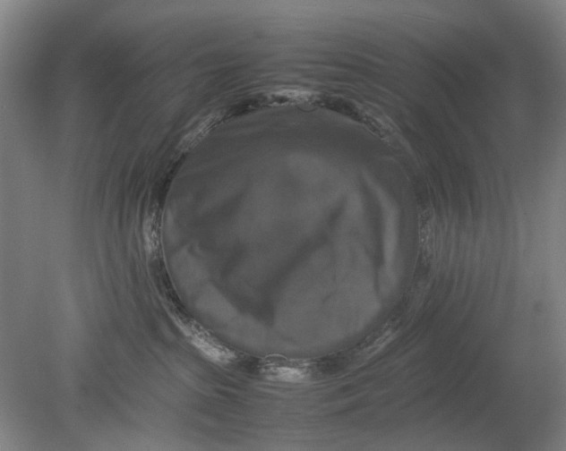 X0000080750285200701051218