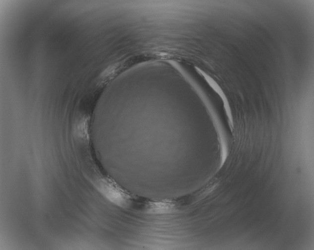 X0000080750286200701051218