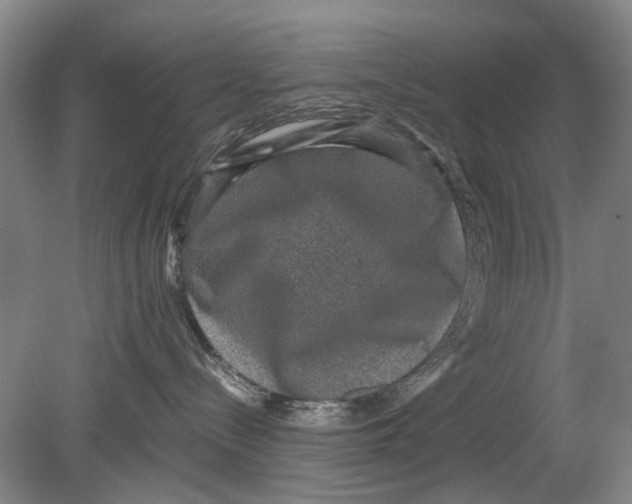 X0000080750288200701051218