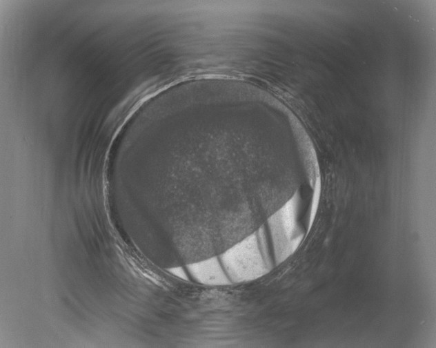 X0000080750290200701051217