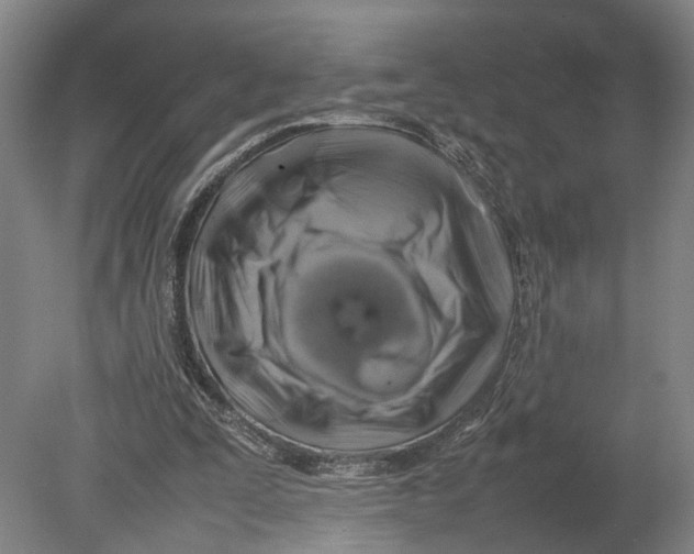 X0000080750295200701051217