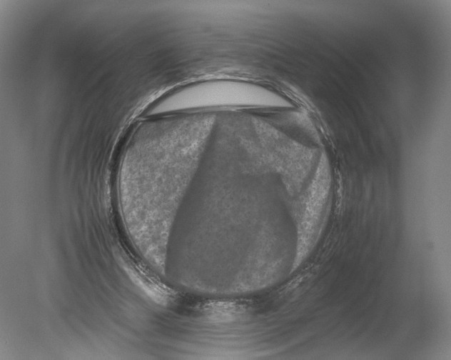 X0000080750298200701051217