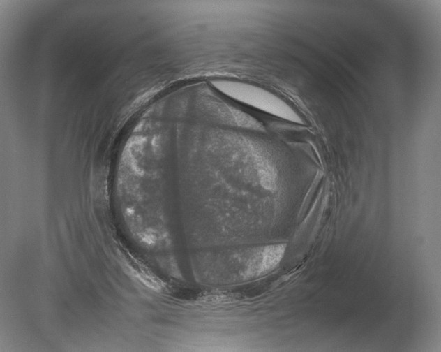 X0000080750299200701051217