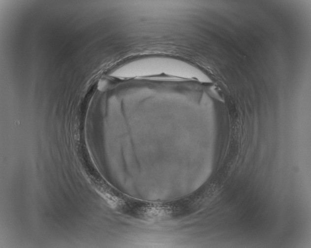 X0000080750303200701051217