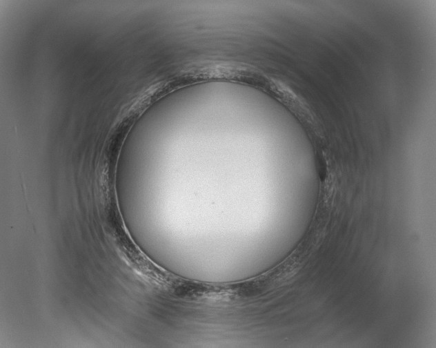 X0000080750306200701051217