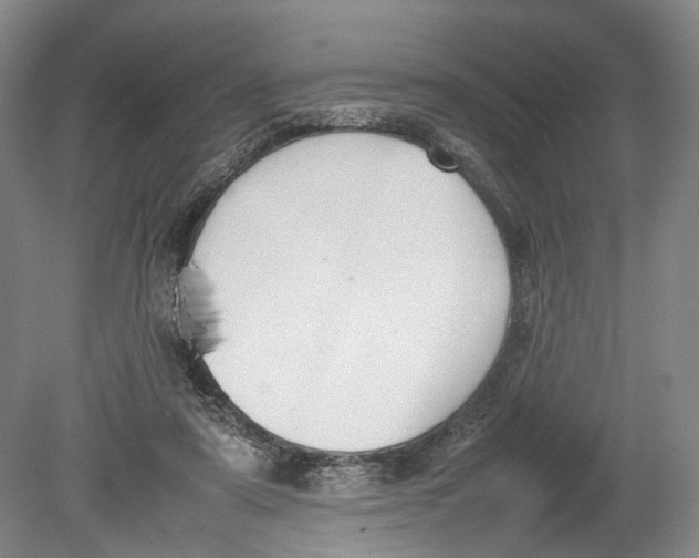 X0000080750307200701051217