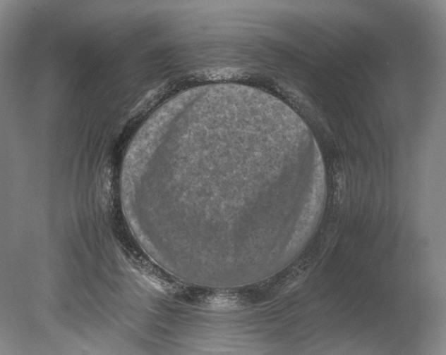 X0000080750308200701051217