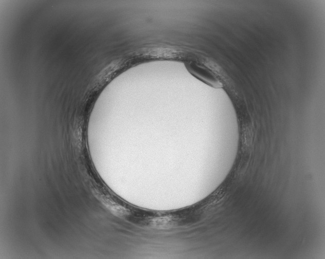 X0000080750309200701051217