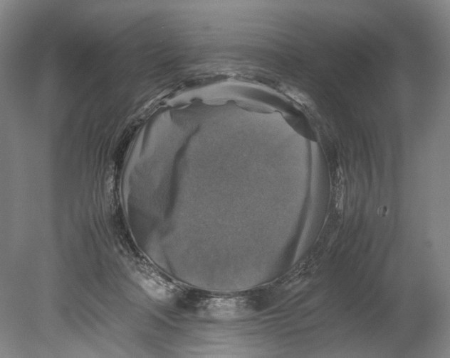 X0000080750314200701051217