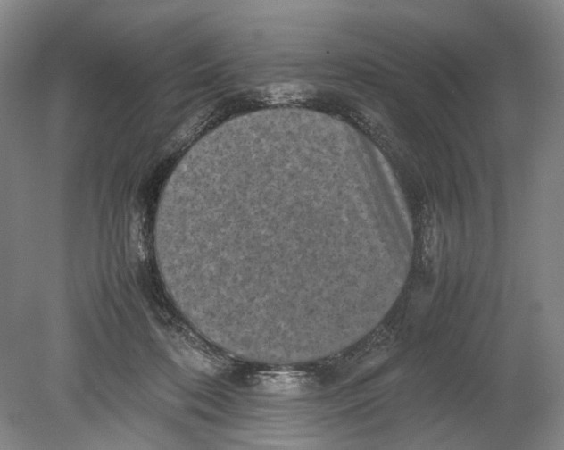 X0000080750316200701051217
