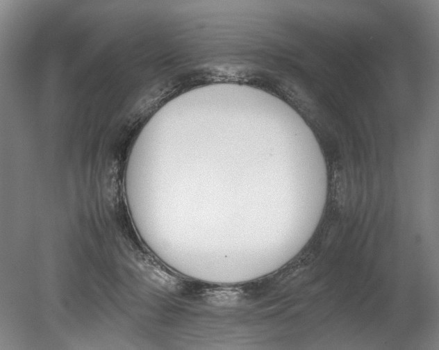 X0000080750318200701051217