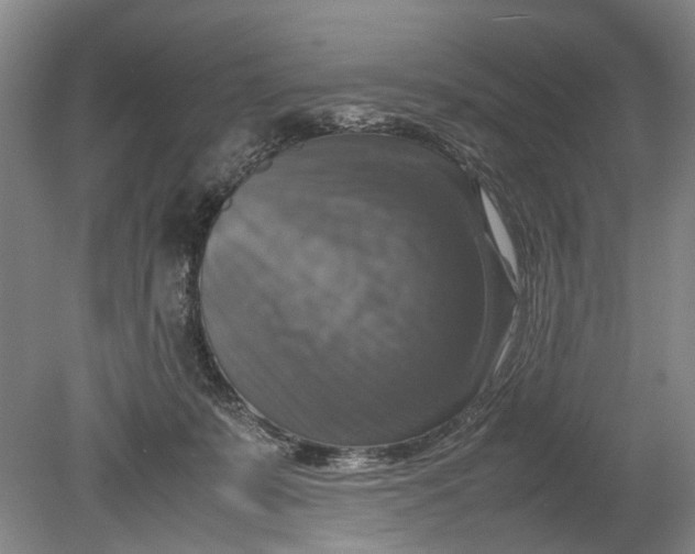 X0000080750319200701051217