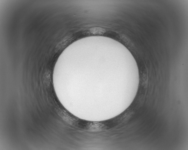 X0000080750321200701051217