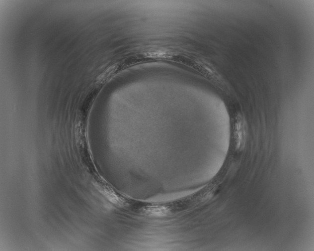 X0000080750322200701051217