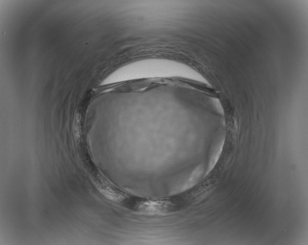 X0000080750323200701051217