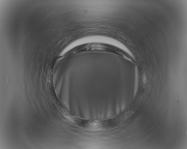 X0000080750325200701051217