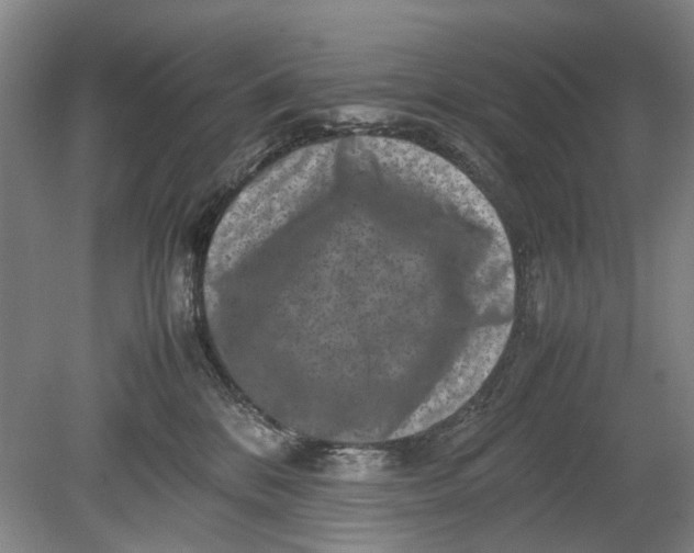 X0000080750328200701051217