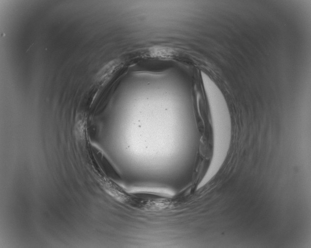 X0000080750329200701051217