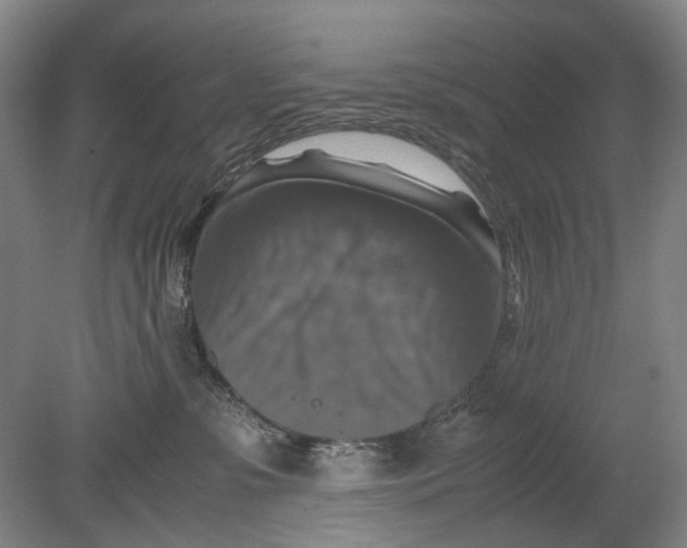 X0000080750331200701051217