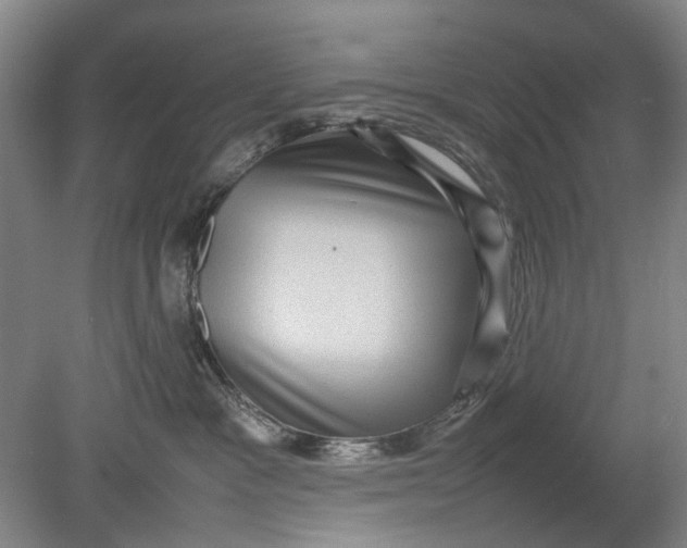 X0000080750333200701051217