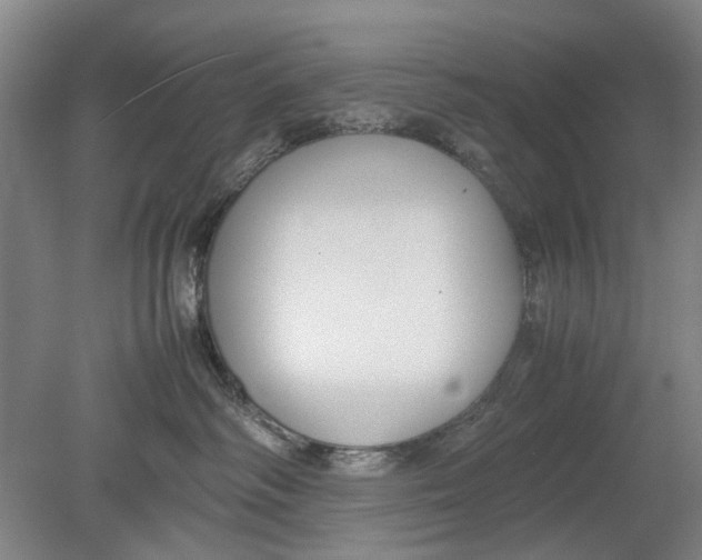 X0000080750334200701051217