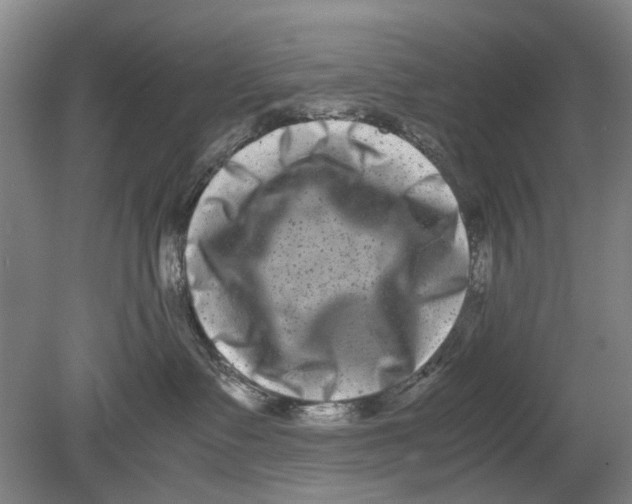 X0000080750335200701051217