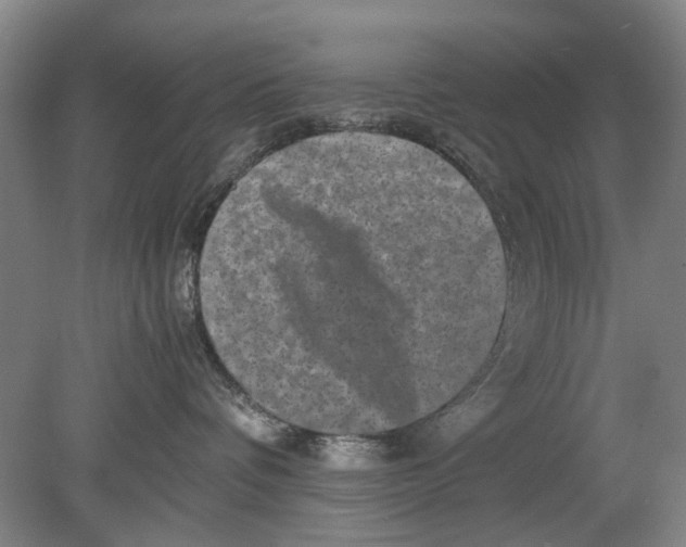 X0000080750336200701051217