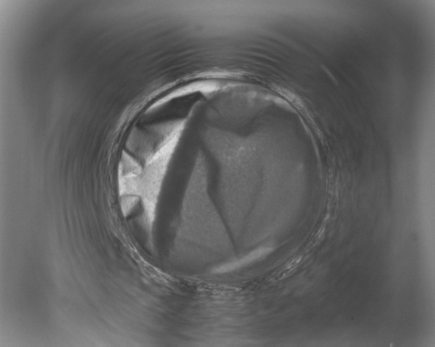 X0000080750337200701051216