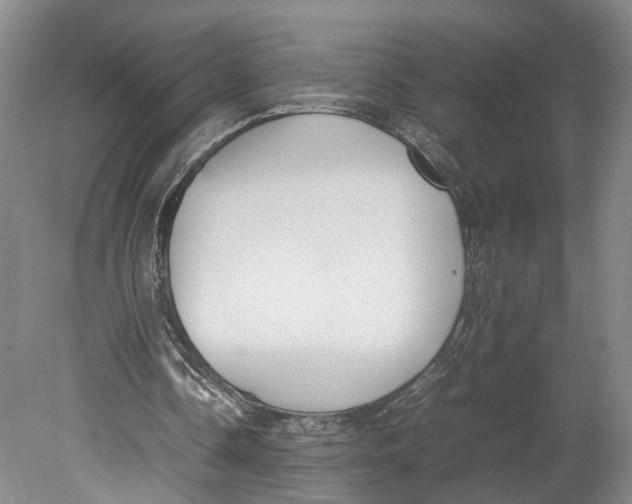 X0000080750338200701051216