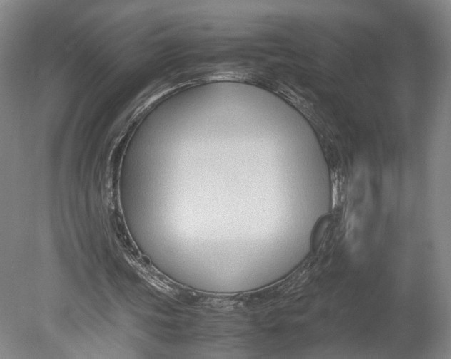 X0000080750339200701051216