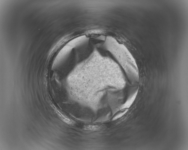 X0000080750341200701051216