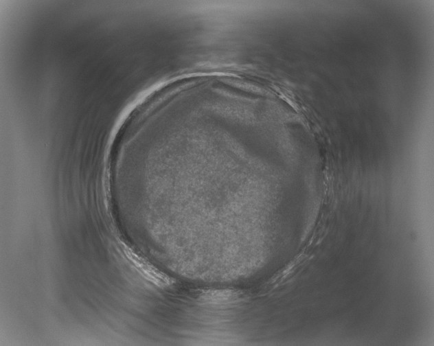 X0000080750342200701051216