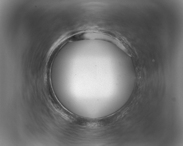 X0000080750344200701051216