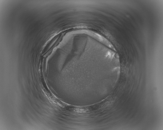 X0000080750347200701051216