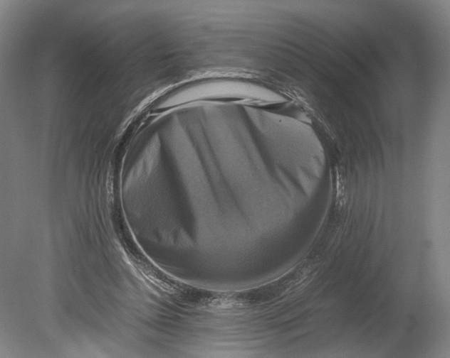 X0000080750348200701051216