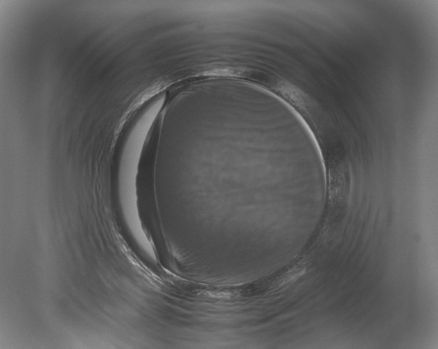X0000080750349200701051216