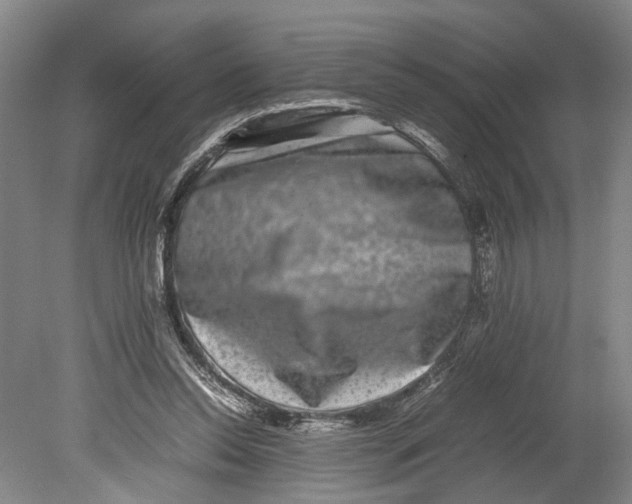 X0000080750350200701051216