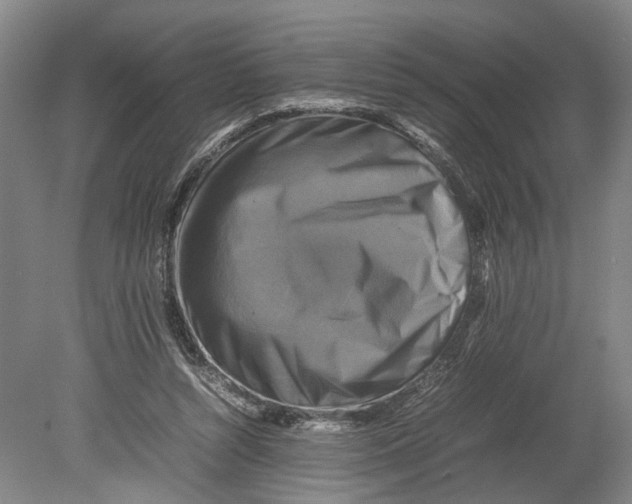 X0000080750352200701051216