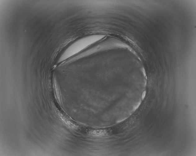 X0000080750353200701051216