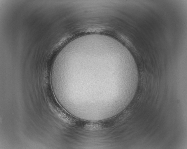 X0000080750354200701051216
