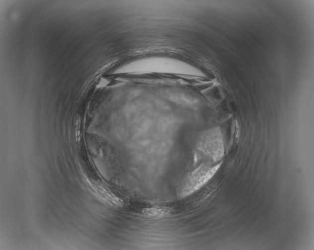 X0000080750356200701051216