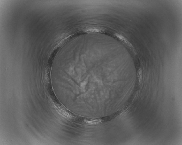 X0000080750359200701051216