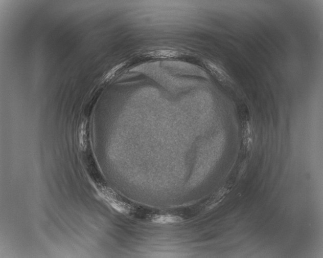 X0000080750360200701051216