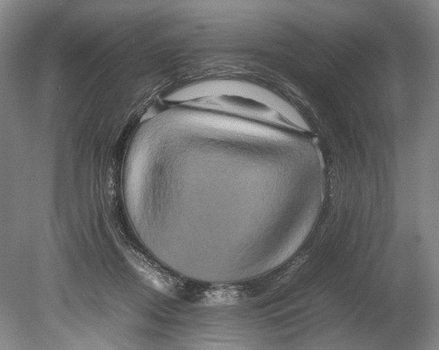 X0000080750362200701051216