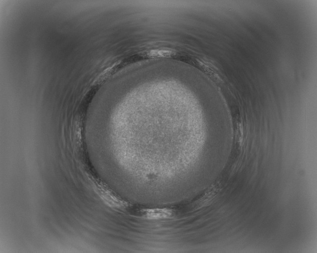 X0000080750363200701051216